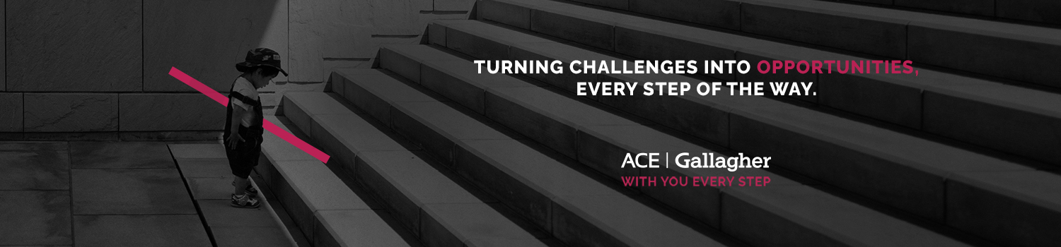 ACE Insurance